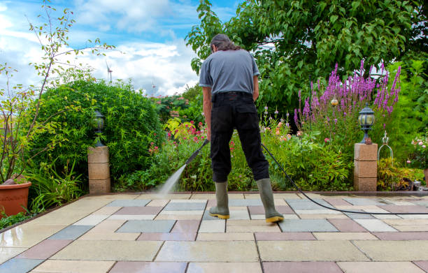 Best Sidewalk and Walkway Cleaning  in New Stanton, PA