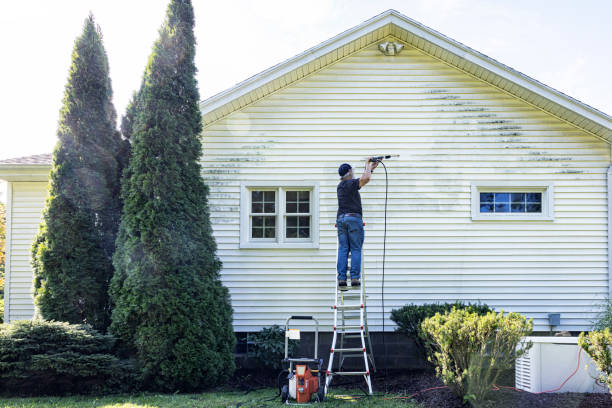 Best Gutter Cleaning  in New Stanton, PA